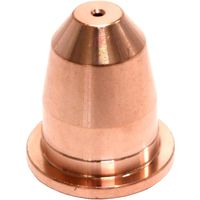 育良精機 育良 IAP124E用チップ (42212) AP-EN4 1箱(10個) 581-7043（直送品）