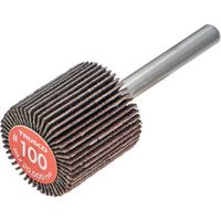 TRUSCO エコノミーフラップホイール 軸径6mm 外径25X幅25X軸長35 #100(5個入) EF2525-100 1箱(5個)（直送品）