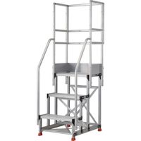 TSF-369-TF300（直送品）