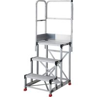 TSF-389-TL300iij