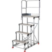 TSFC-4612-TL300（直送品）