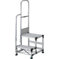 TSFGR-256-TS300（直送品）