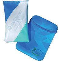 アイ・ティ・イー アイスバッテリーフレッシュAVA(保冷ポーチ付き) IBF-A01 1袋(1セット) 578-5726（直送品）