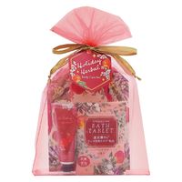 ホリデーハーバル オーガンジーセット