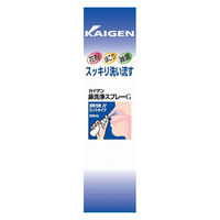 ラフェルサ カイゲン鼻洗浄スプレーG ミントタイプ 200ml