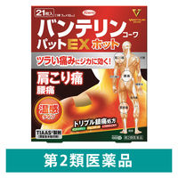 バンテリンコーワパットEXホット