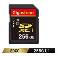 Gigastone SDカード SDXC規格 Class10
