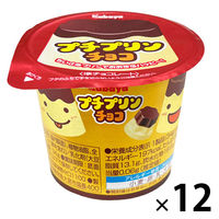 チョコレート菓子 プチプリンチョコ 1セット（1個×12）