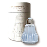 植物育成 蛍光灯の人気商品・通販・価格比較 - 価格.com 植物育成 蛍光灯の人気商品・通販・価格比較 - 価格.com