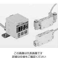 CKD 超小形流量センサ(空気・N2用)ラピフロー センサ本体 FSM-V-AV3-R1000-HL4 1個（直送品）