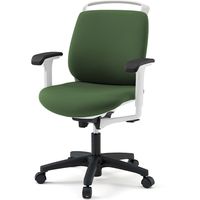 【設置込】イトーキ トルテRチェア 再生布張 ローバック アジャスタブル肘付 ハンガー付 ウレタンキャスター IVグリーン×ホワイト 1脚（直送品）