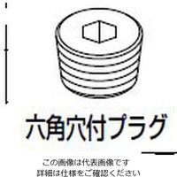 CKD i(󈳃ou4GV[Yp(lWvO)) 4G4-10P 1Zbg(20)iij