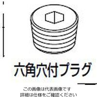 CKD 部品(空圧バルブ4Gシリーズ用(ネジプラグ)) 4G4-10P 1セット(20個)（直送品）