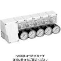 CKD 着座確認スイッチ(ギャップスイッチ)マニホールド MGPS2-05-15-4PGTL-BL-GW2 1個（直送品）