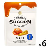 【ワゴンセール】湖池屋 キャラメル×スコーン ソルトキャラメル 6袋 スナック菓子　スナック菓子