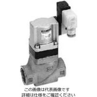 CKD 電磁弁搭載形シリンダバルブ SVB1S-20A-E2CSB-DC24V 1個（直送品）
