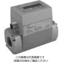 CKD フルーレックス水用流量センサWFK5000シリーズ WFK5008-20N-PA4B 1個（直送品）