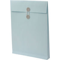 角２　ハーフトーンカラーブルー保存袋　ハトメ紐付 ＢＫ２５６７ １箱（100枚） イムラ封筒（直送品）