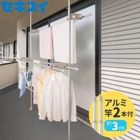 アルミ ベランダ用物干し台スタンドポール ASL-20LG 1箱(４台入) 積水樹脂（直送品）