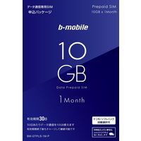 日本通信 b-mobile 10GBプリペイド 申込パッケージ BM-GTPL5-1M-P 1個（直送品）