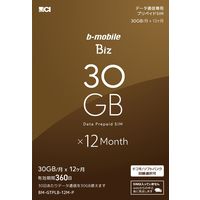 日本通信 b-mobile Biz 申込パッケージ BM-GTPLB-12M-P 1個（直送品）