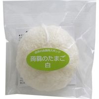 サカエ商事 蒟蒻のたまご 白 Cー6　1個入×10セット（直送品）