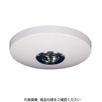 cG[X pXJCN[CH^ CLW (O) 243971 1{iij