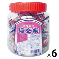 塩分商材 塩分補給 おやつ カリカリ信玄梅ポット 種あり 300ｇ 1セット(1個×6)　ＡＳフーズ