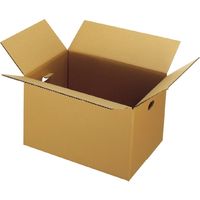 ジョインテックス 穴付ダンボール箱 大10枚 B176J-L　1パック（直送品）