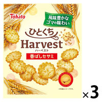 【アウトレット】東ハト ひとくちハーベスト＜香ばしセサミ＞1セット（50g×3袋）