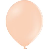 SD 28cm s[`N[pXe 100 0106210004 1Zbg(100) 󋻎Yiij