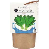 聖新陶芸 聖新 GD-79504 育てるスープ ホウレンソウ 1個（直送品）