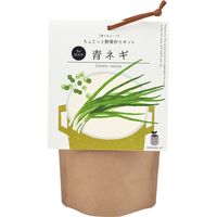 聖新陶芸 聖新 GD-79503 育てるスープ 青ネギ　1個（直送品）