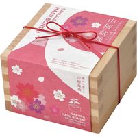 聖新陶芸 聖新 GD-84602 ソダテマス 盆栽セット 桜 1個（直送品）