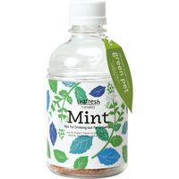 聖新陶芸 聖新 GD-86301 グリーンペット(new) ミント 1個（直送品）