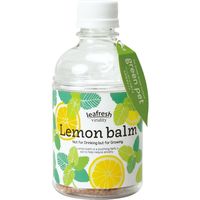 聖新陶芸 聖新 GD-86303 グリーンペット(new) レモンバーム 1個（直送品）