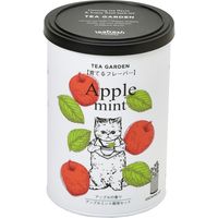 聖新陶芸 聖新 GD-90501 育てるフレーバー アップルミント 1個（直送品）