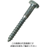 ハイロジック 六角コーチスクリュー9×75ミリ 00016147-001 1セット(50個)（直送品）