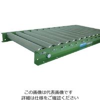 寺内製作所 TS スチールローラコンベヤφ48.6ーW500XP100X1000L S48-501010 1台(1本) 858-2096（直送品）