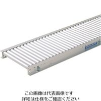 寺内製作所 TS アルミ製ローラコンベヤφ20ーW200XP22X90°カーブ LA20-200290R49 1台 858-2532（直送品）