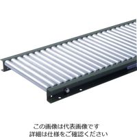 寺内製作所 TS スチールローラコンベヤφ25.4ーW200XP50X1500L LS25-200515 1台(1本) 858-1863（直送品）