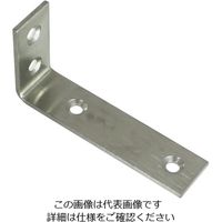 ハイロジック Fー843 ステンミニアングル 30×60mm 00016843-001 1セット(2本)（直送品）