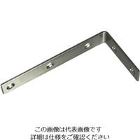 ハイロジック Fー845 ステンミニアングル 50×100mm 00016845-001 1セット(2本)（直送品）