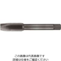 不二越 ZPO20M2.5R ハイパーZポイントタップ M20X2.5 1本（直送品）