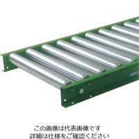 寺内製作所 TS スチールローラコンベヤφ57.2ーW500XP100X2000L S5716-501020 1台 858-2192（直送品）