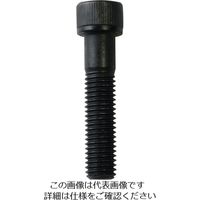 ダイドーハント DAIDOHANT HP 六角穴付ボルト 5×25 6本入 10184590 1セット(30本:6本×5袋)（直送品）