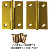 ハイロジック 鉄角蝶番51ミリゴールド 00026025-001 1セット(40枚)（直送品）