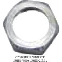 扶桑精機 扶桑 ルミナ自動スプレーガン PSー3K型用部品 #12 袋ナット 29271 1個 810-5904（直送品）