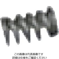 扶桑精機 扶桑 ルミナ自動スプレーガン ST/STA/UA型用部品 #10 ニードルバネ 29361 1個 810-5933（直送品）