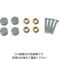 ハイロジック 飾りビスキャップタイプ 00024525-001 1セット（20個）（直送品）